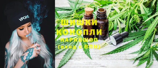 сатива Аркадак