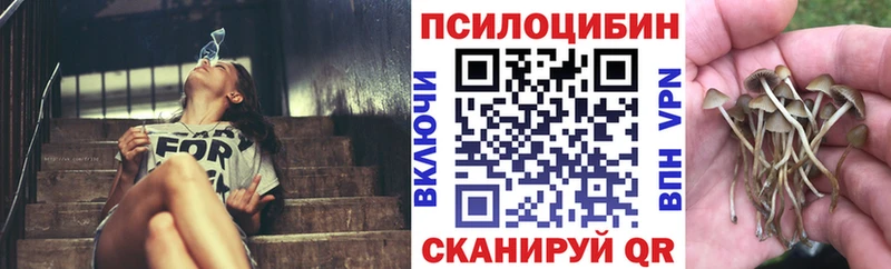 Псилоцибиновые грибы Magic Shrooms  блэк спрут   Унеча  наркотики 